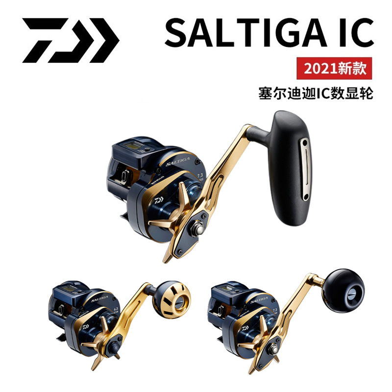 21 Mulinello Elettrico Giappon - Baitcasting Reel recensione e prezzo